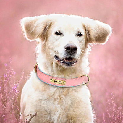 Personalized Leather Custom Dog Collar