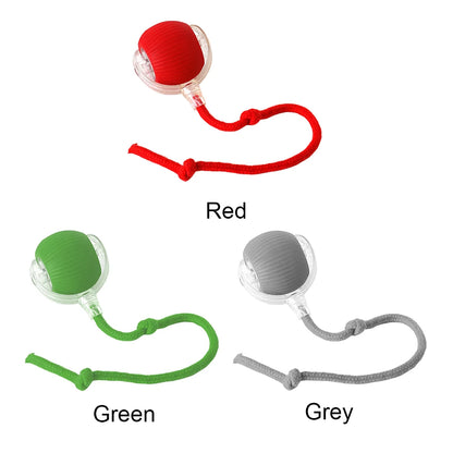 Automatic Rolling Interactive Ball Toy
