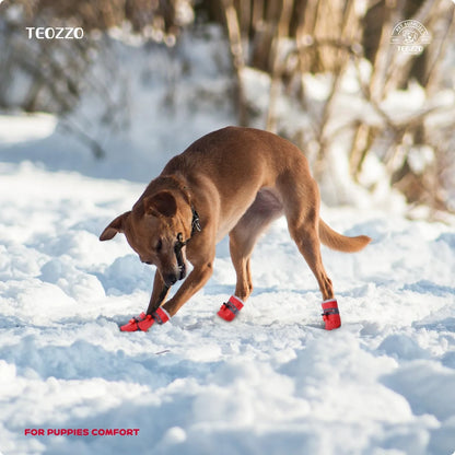 Walking Shoes For Dogs