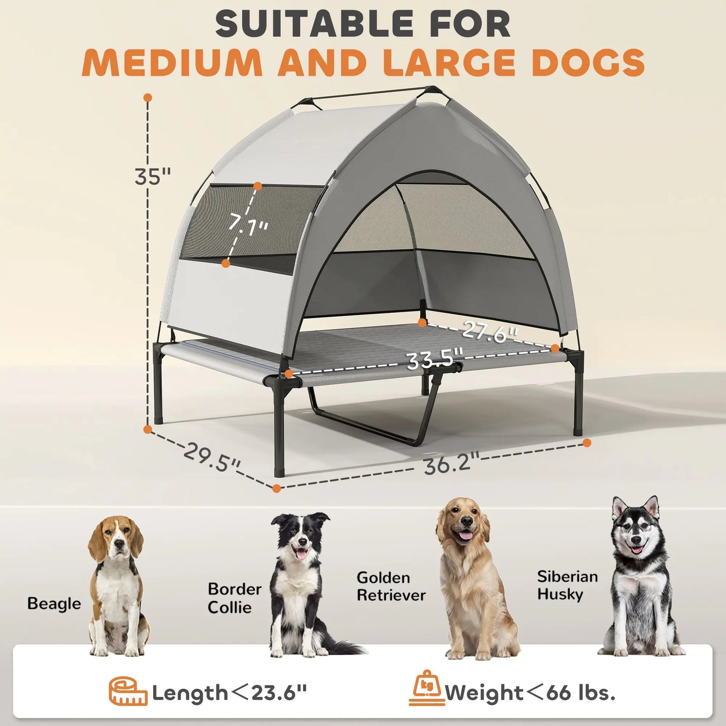 Elevated Dog Bed with Removable Canopy for Outside