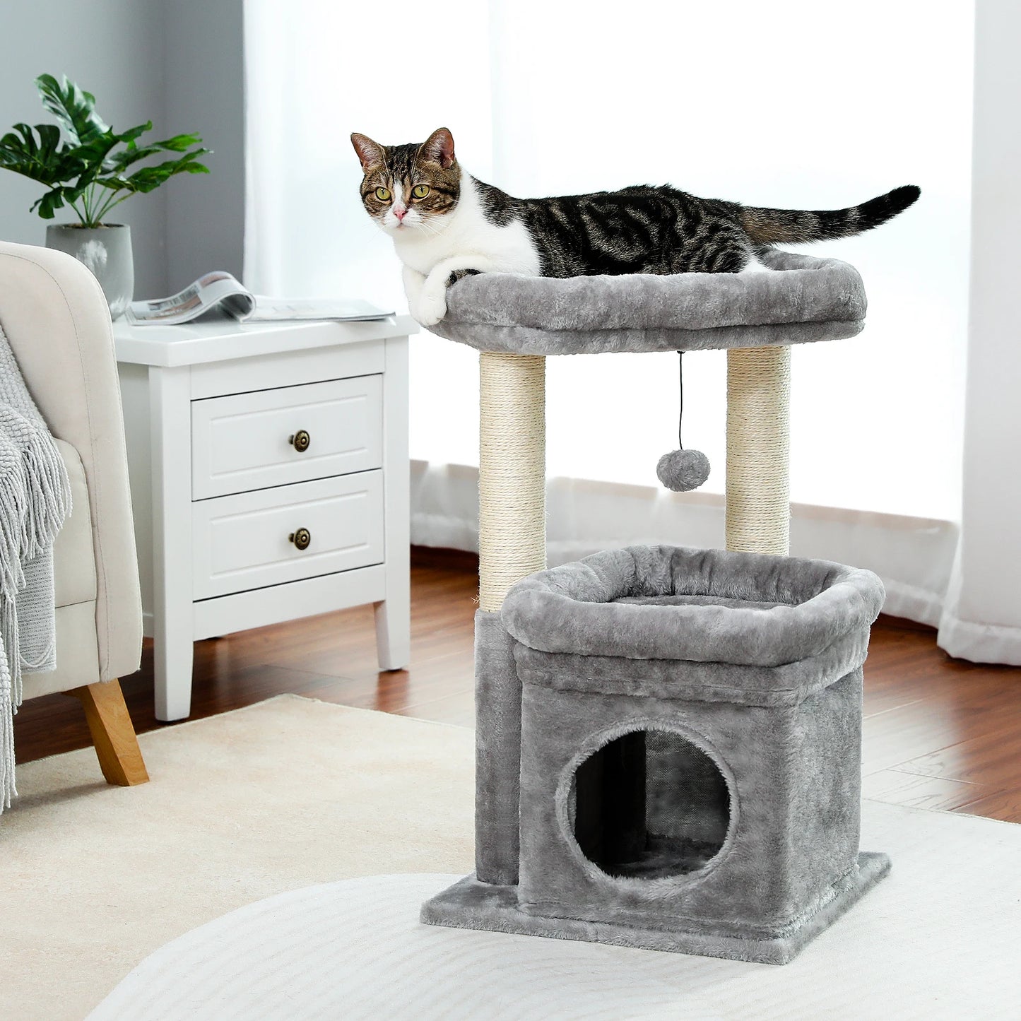 Cat Tree for Indoor Cats