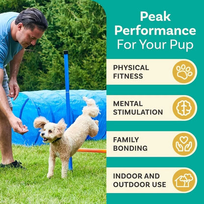 Backyard Agility Course for Dogs