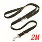 Dog Leash for Halti Training