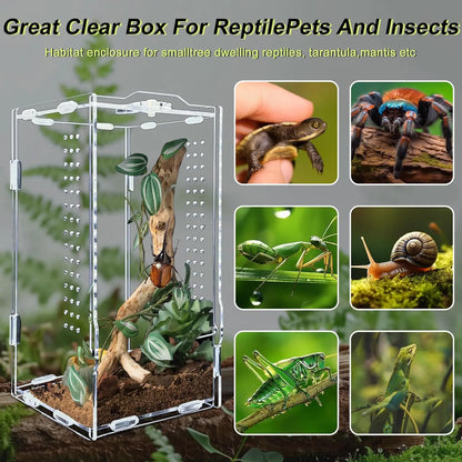 Acrylic Transparent Reptile Terrarium Habitat Breeding Box