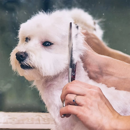 Professional 7 Inch Stainless Steel Pet Hair Shears