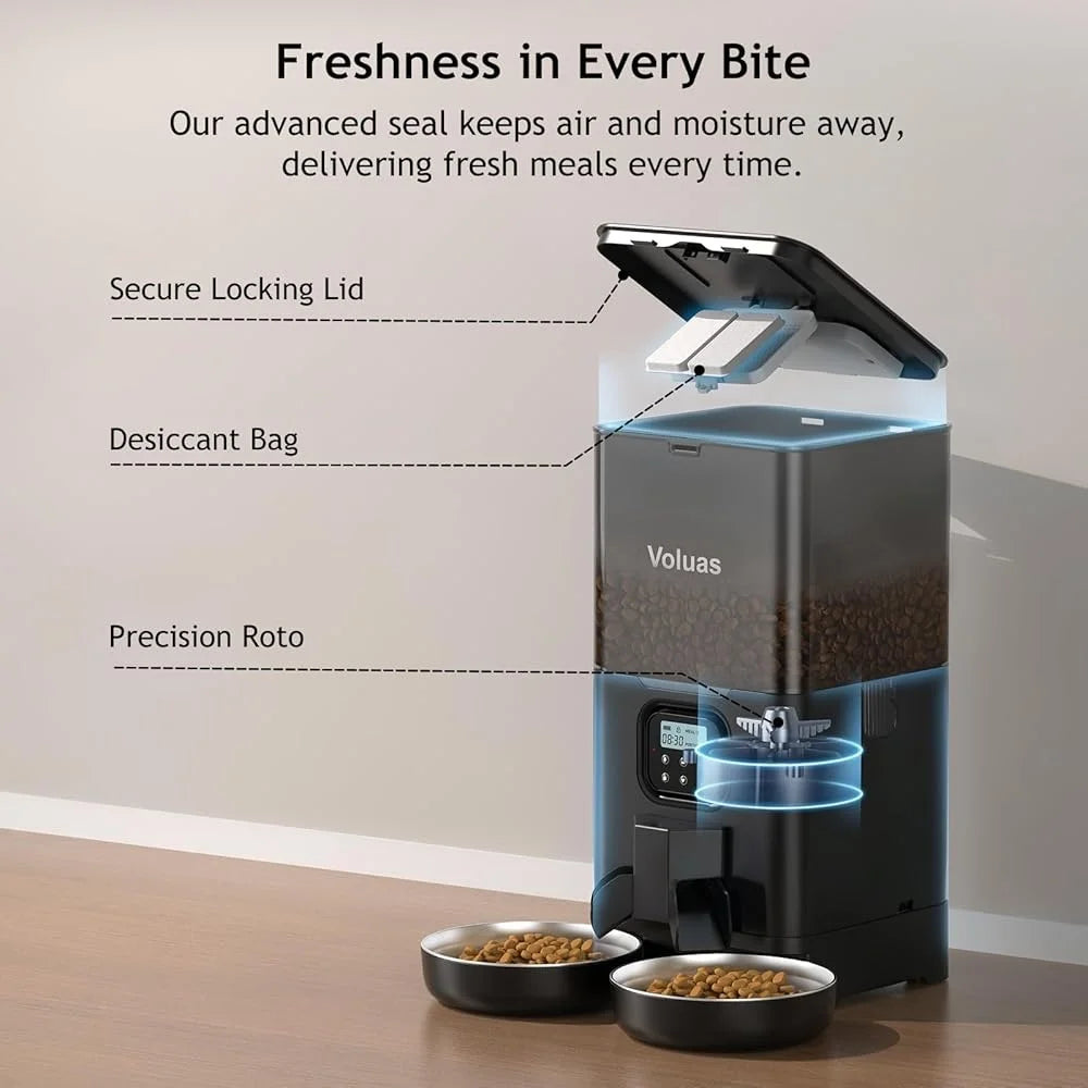 Automatic Feeder for Two Cats