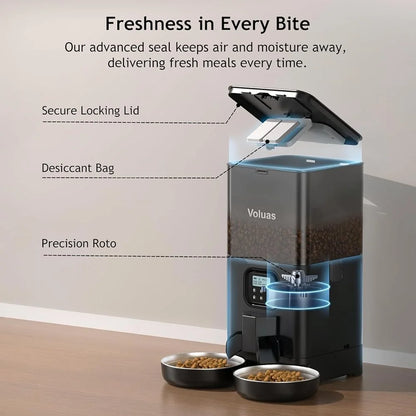 Automatic Feeder for Two Cats
