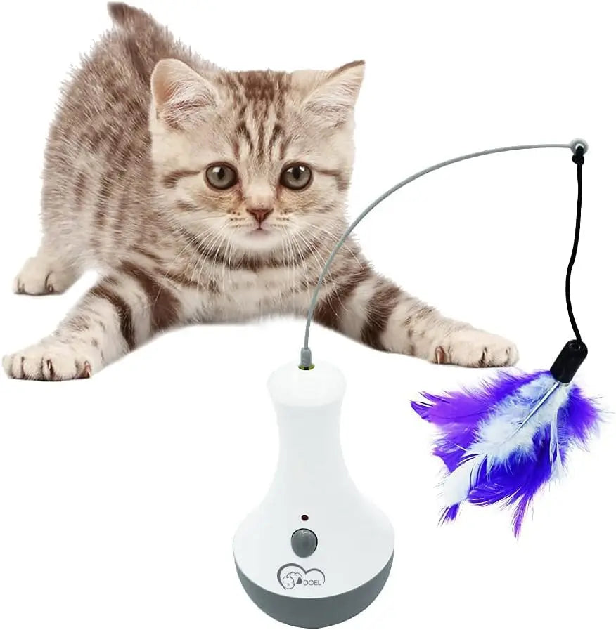 Funny Feather Toy for Kittens