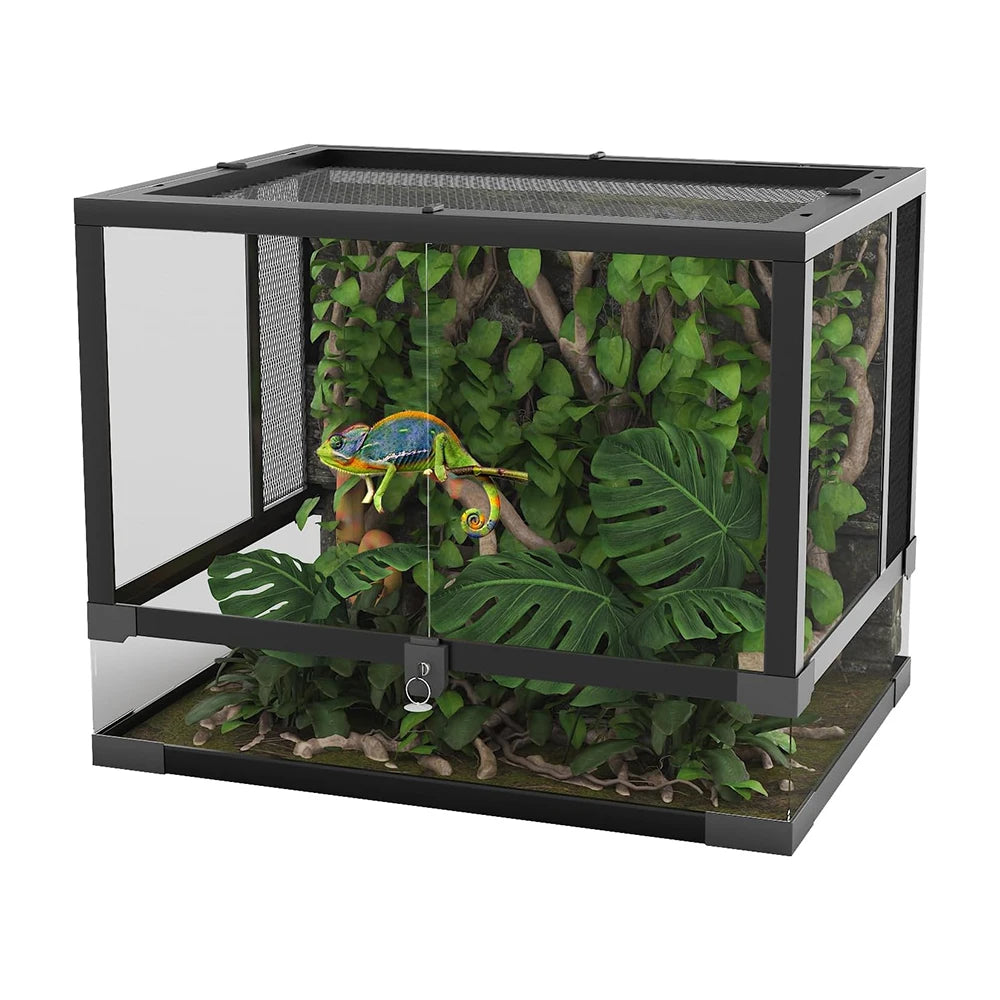 Glass Terrarium for Reptile