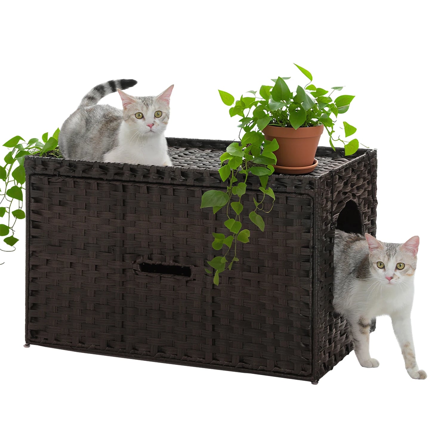 Rattan Cat Litter Box Enclosure with Taller Doorway