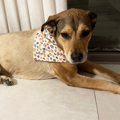 4 Types of Bandanas for Dogs