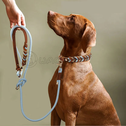 Braided Sky Blue Nylon Rope/Leather Pattern Collar