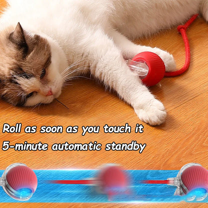 Interactive Rolling Ball Toys for Cats