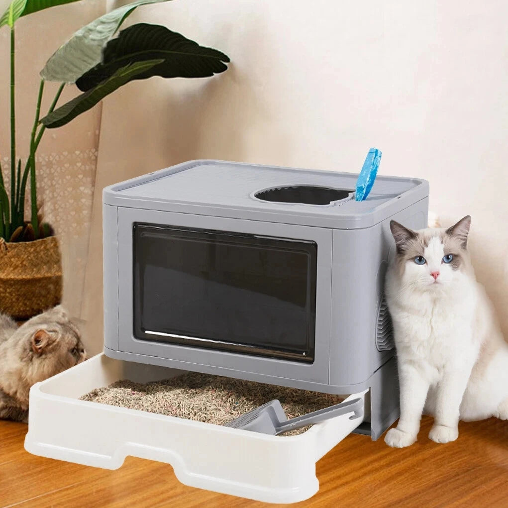 Large Cat Litter Box