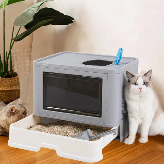 Large Cat Litter Box