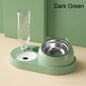2-in-1 Automatic Cat Feeder