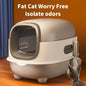 Spacious Litter Box with Top-Entry Design