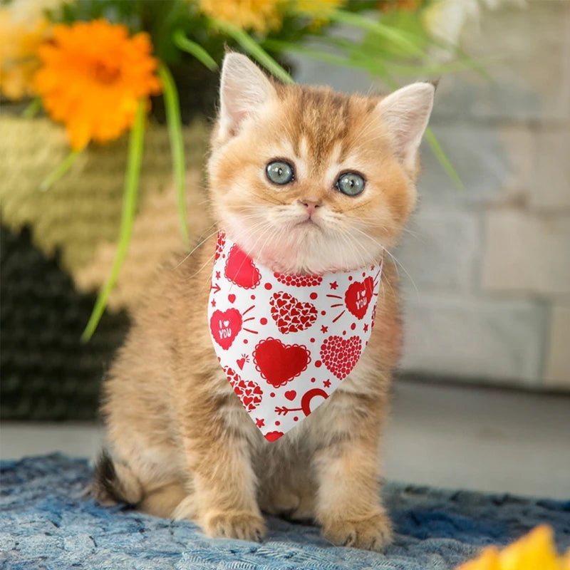 1PC Dog Bandana