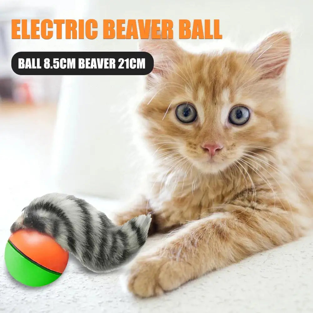 Electric Beaver Ball