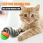 Electric Beaver Ball