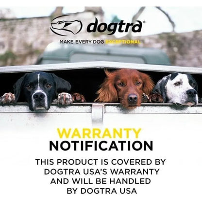 Remote Dog Training E-Collar