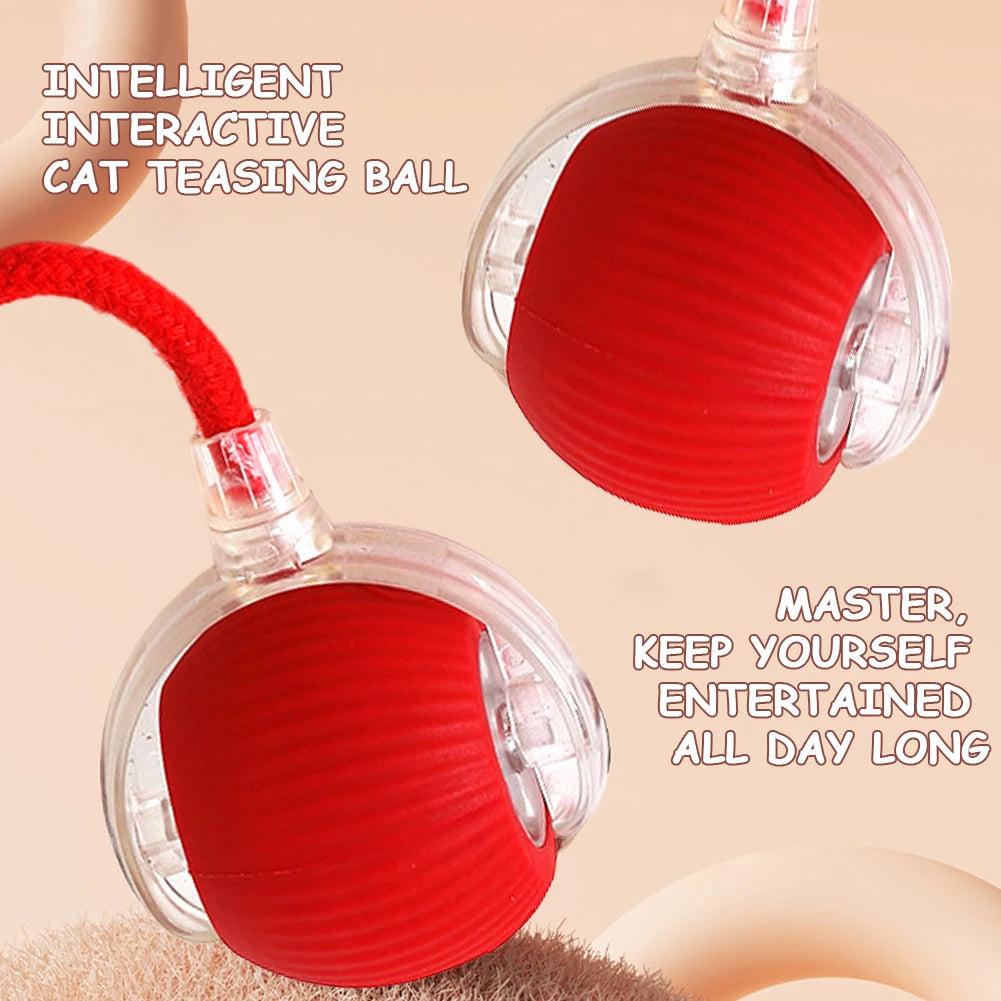 Automatic Rolling Interactive Ball Toy