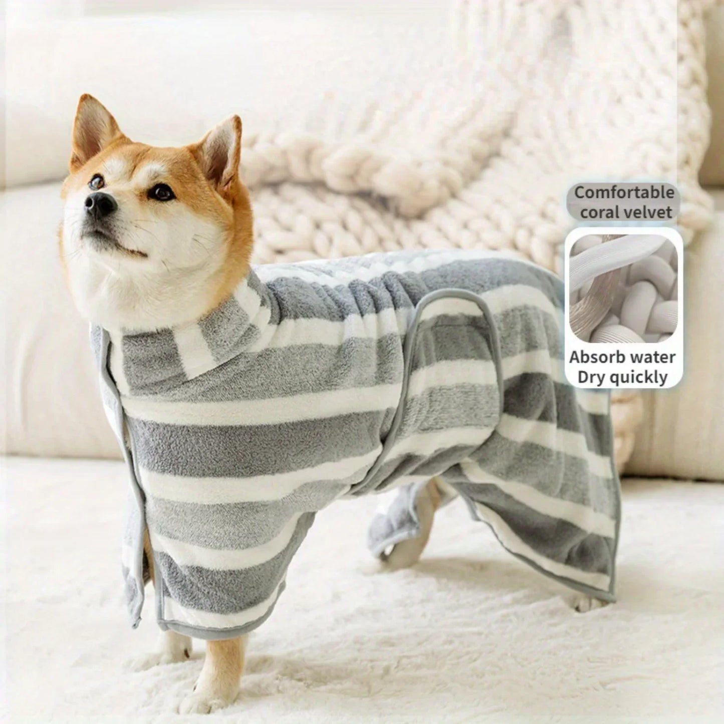 Bathrobe for a Dog