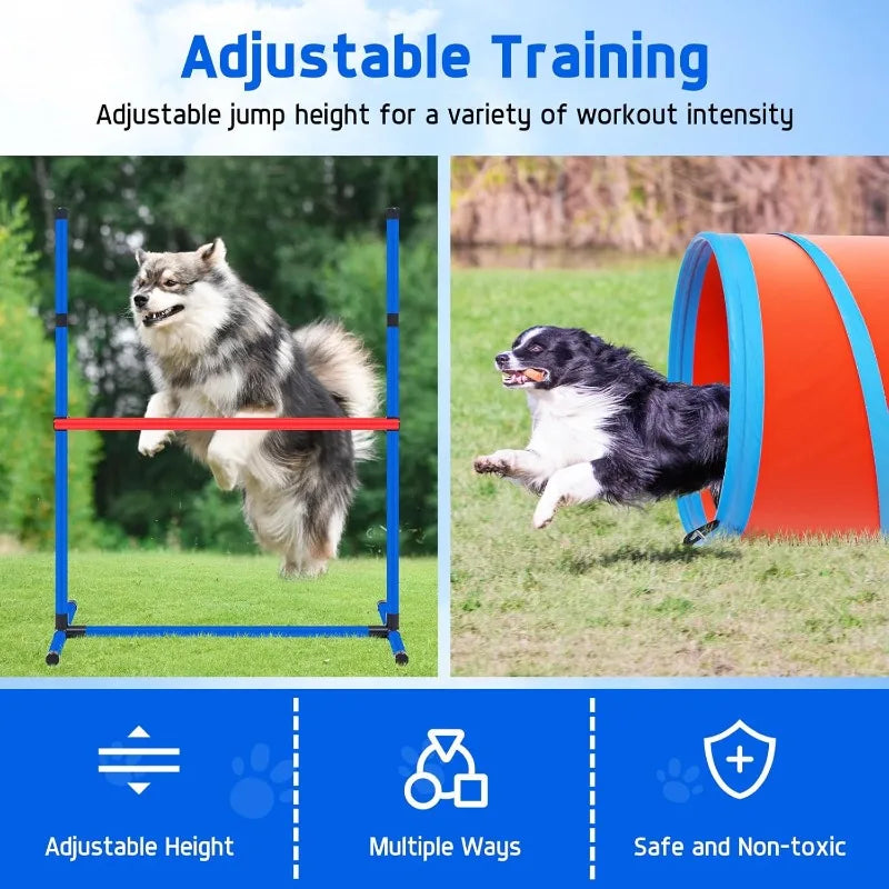 Agility Obstacle Course for Dogs