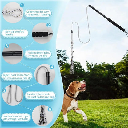 Teaser Wand for Small Medium Dogs