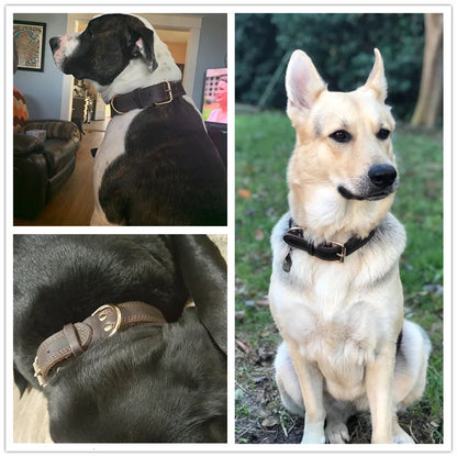 Genuine Vintage Leather Dog Collar