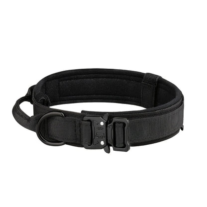 Collar for Large Dog