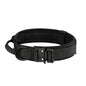 Collar for Large Dog