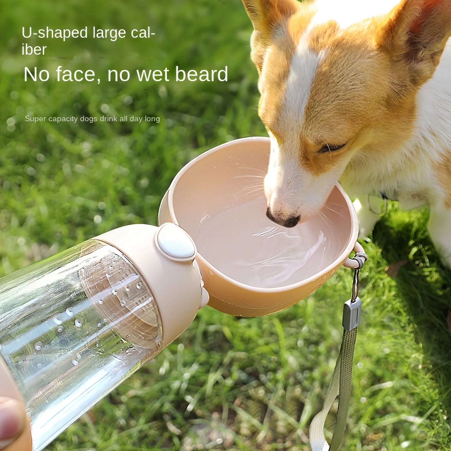 Travel Pet Water Cup and Bottle With Food Dispenser