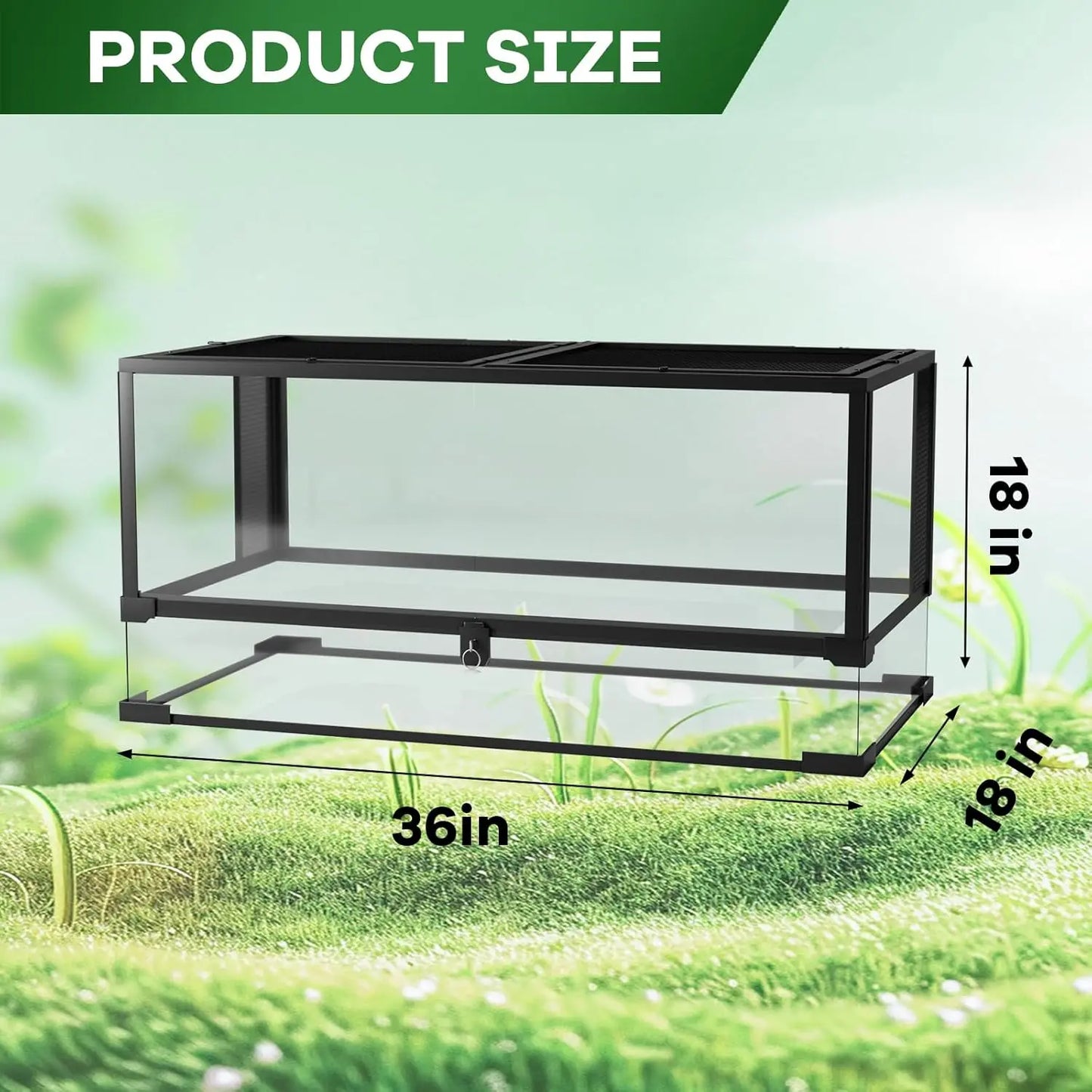 Glass Terrarium for Reptile