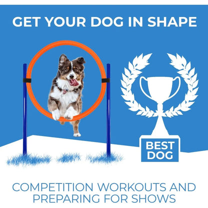 Agility Training Equipment for Dogs