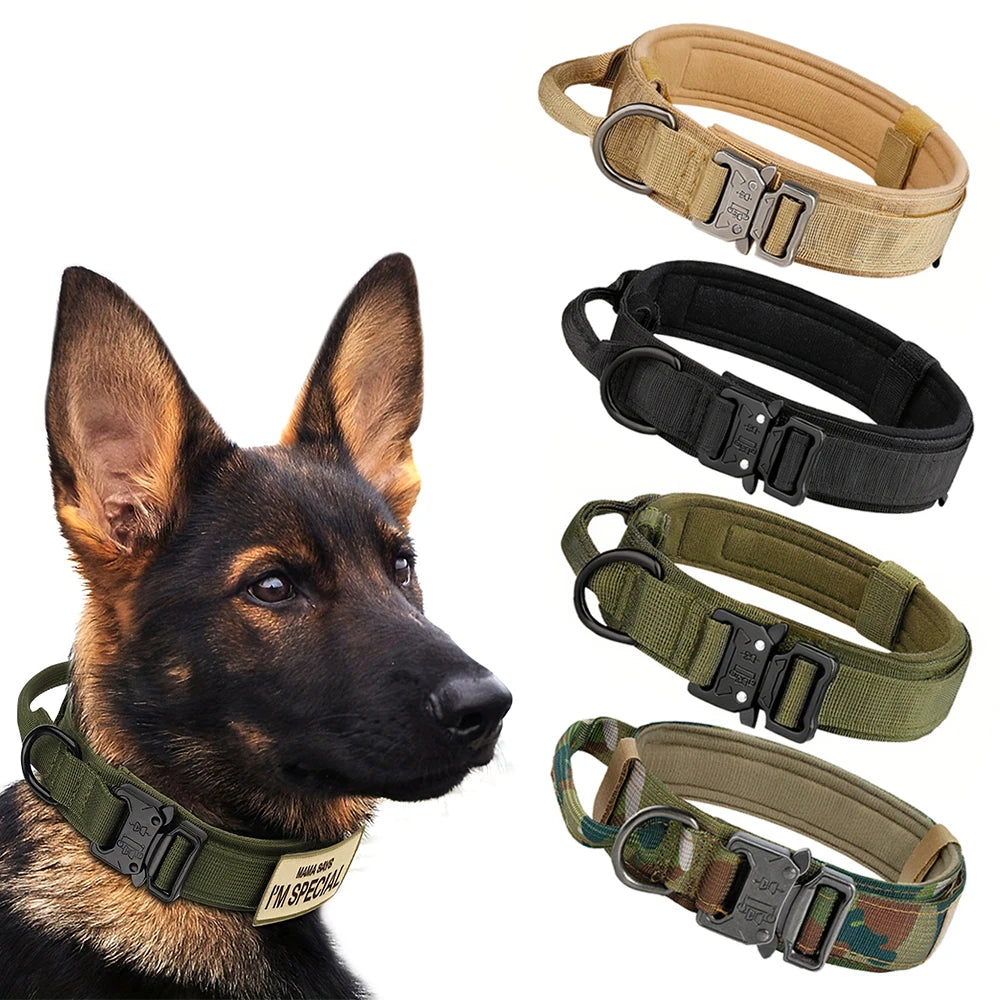 Collar for Large Dog