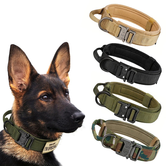 Collar for Large Dog