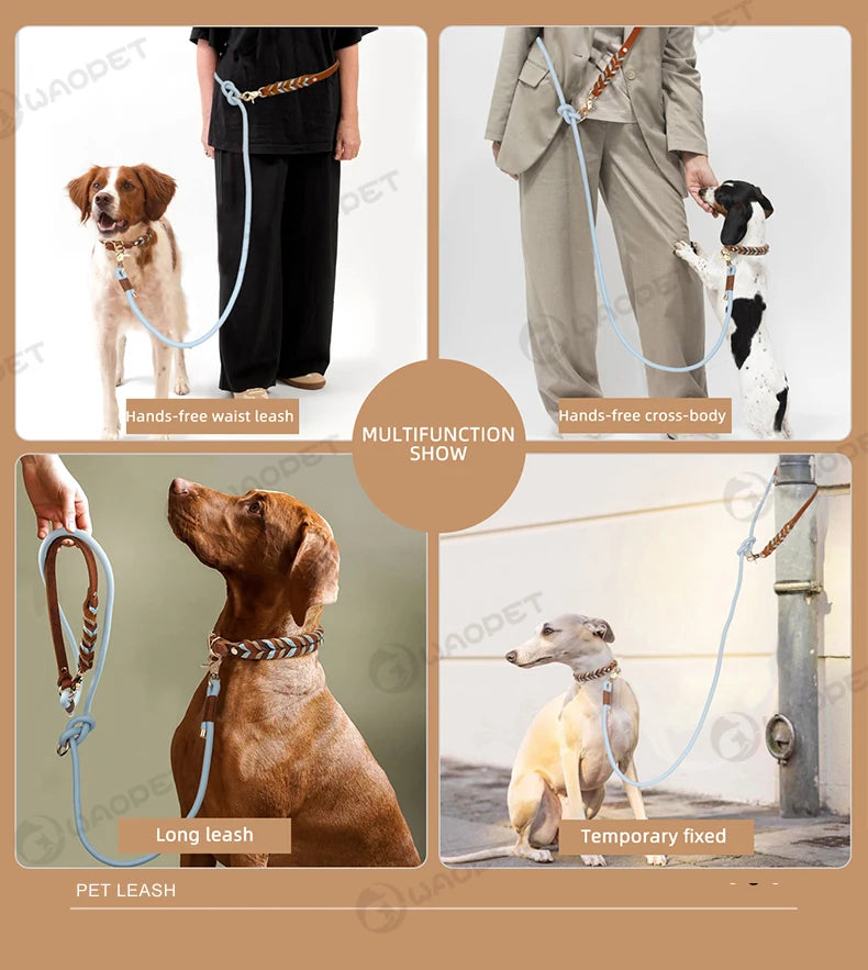 Braided Sky Blue Nylon Rope/Leather Pattern Collar