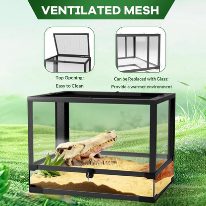 Glass Terrarium for Reptile