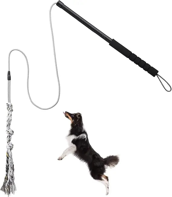 Teaser Wand for Small Medium Dogs