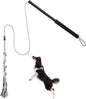 Teaser Wand for Small Medium Dogs