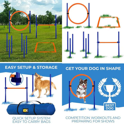 Agility Training Equipment for Dogs