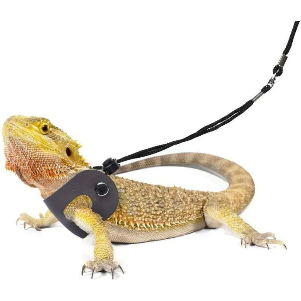 Bearded Dragon Harness and Adjustable Leash