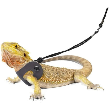 Bearded Dragon Harness and Adjustable Leash