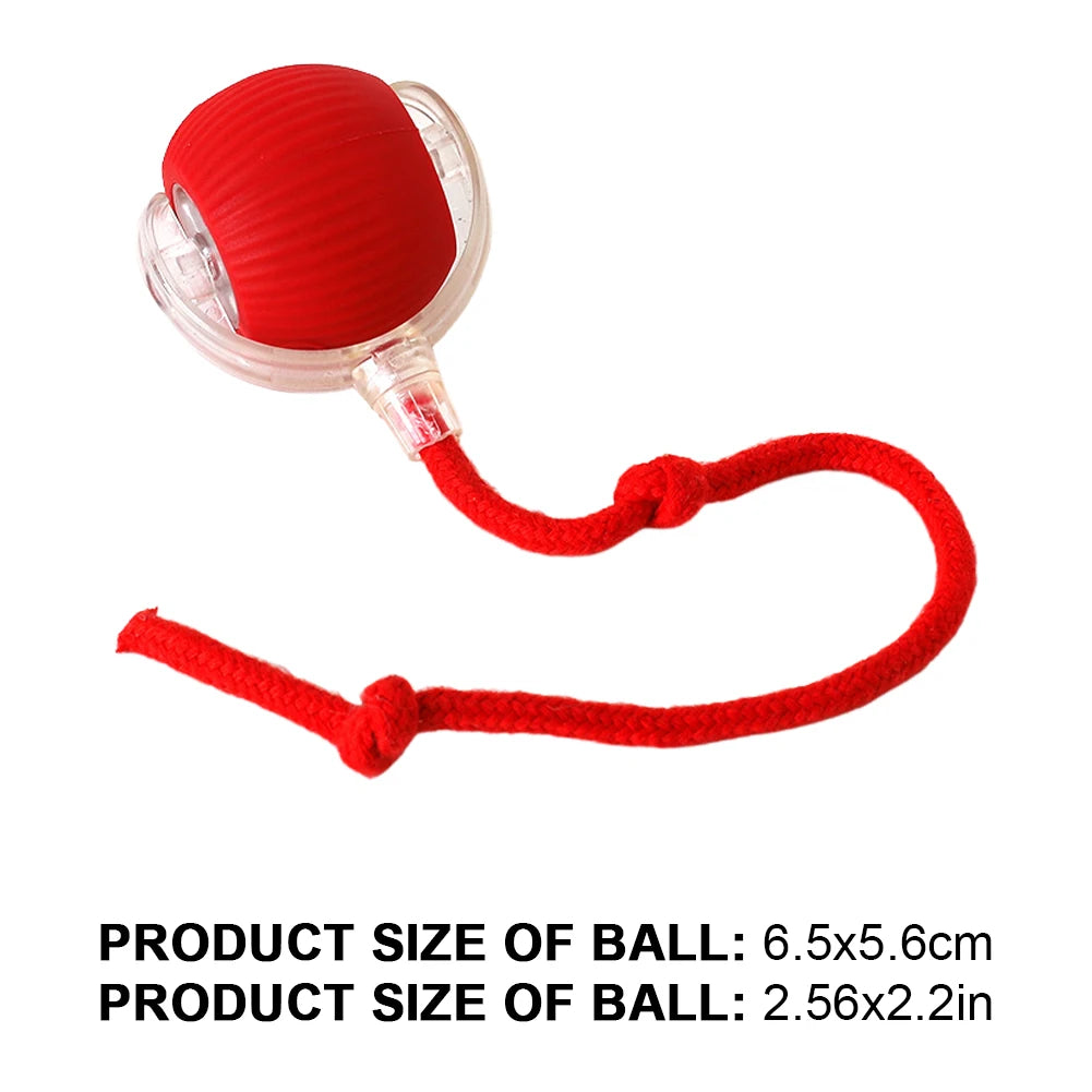 Automatic Rolling Interactive Ball Toy