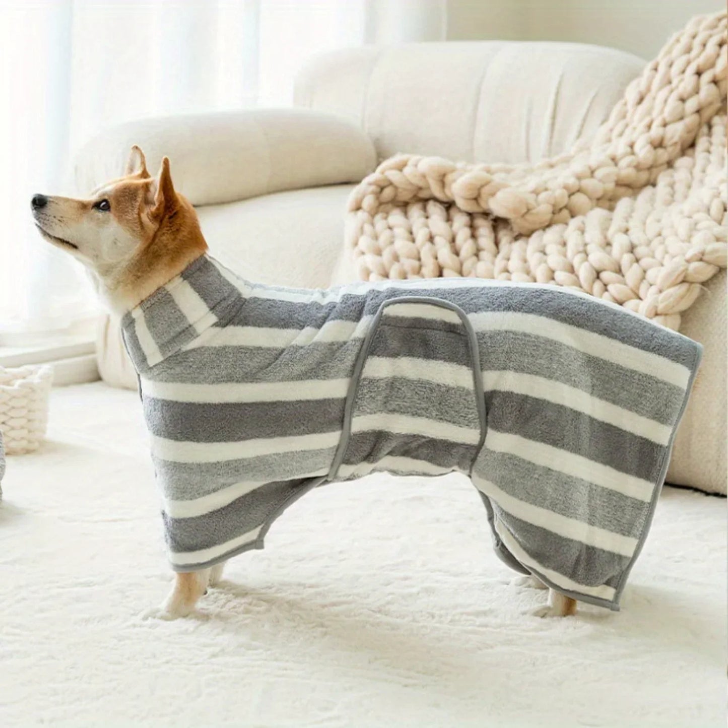 Bathrobe for a Dog