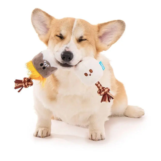 Dog Smore Rope Toy