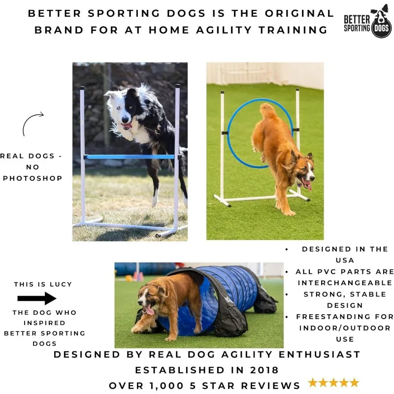 Complete Starter Agility Set for Dogs