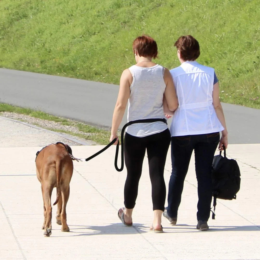 Dog Leash for Halti Training