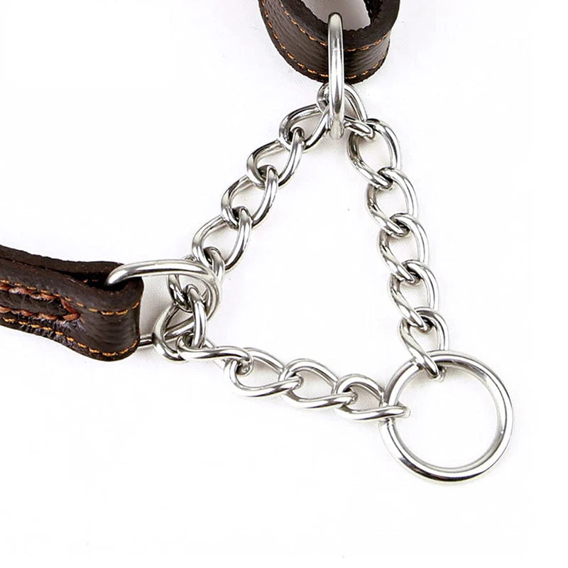 Martingale Leather No Pull Collar
